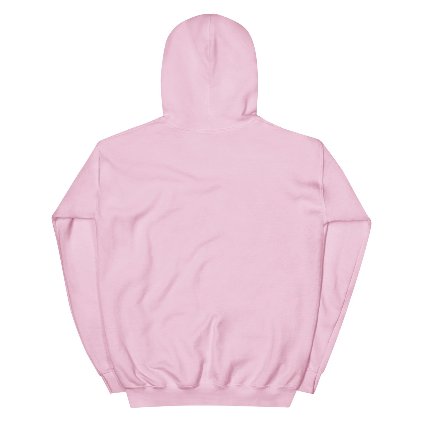 Flaming Dove Pink Hoodie – light pink back | Sacred Streetwear | JesusCanneebus