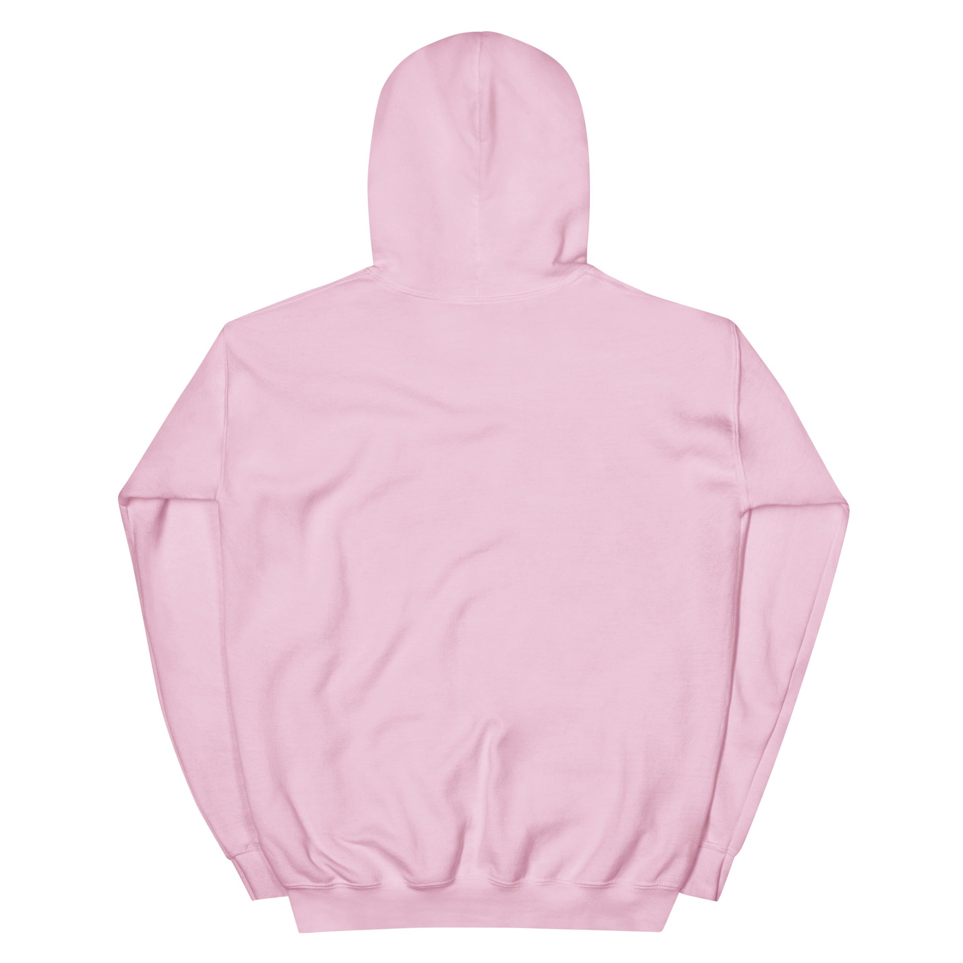 Flaming Dove Pink Hoodie – light pink back | Sacred Streetwear | JesusCanneebus